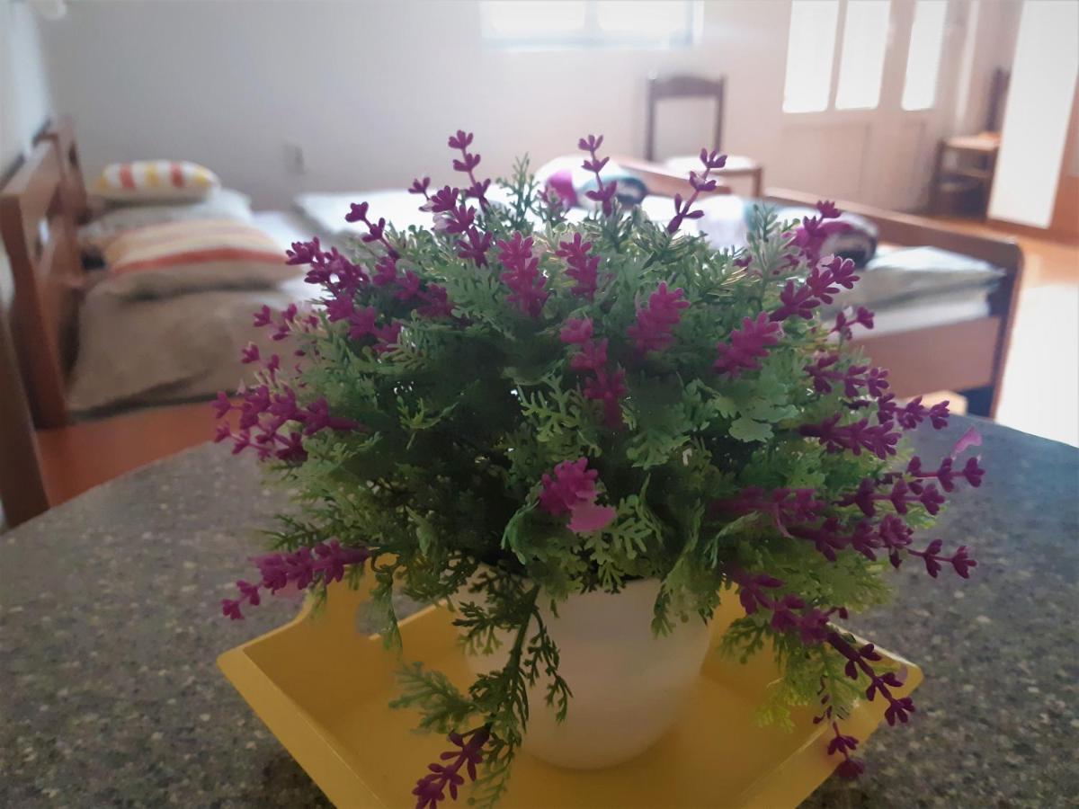 Guest House Domig Licko Lesce Esterno foto